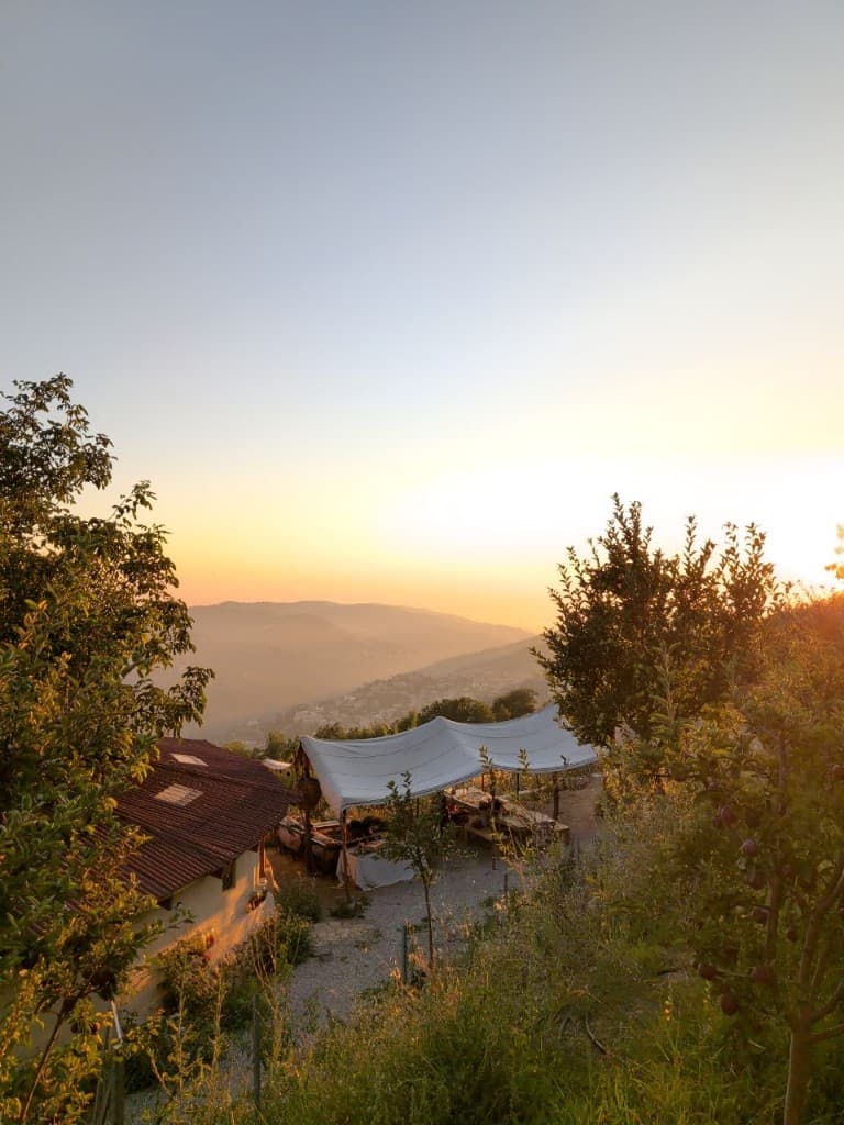 TerraPods in Baskinta — forest garden, workshops, and community gathering at golden hour